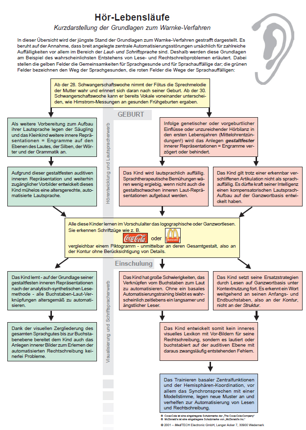 Hearing life course poster format A2 colored