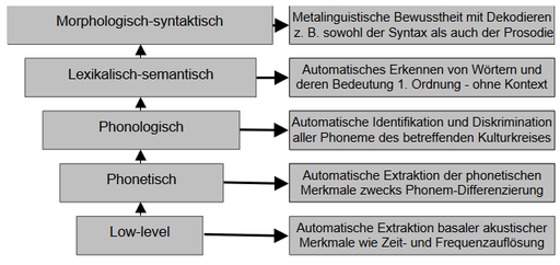 Normierung und Training von sechs basalen auditiven Zentralfunkt